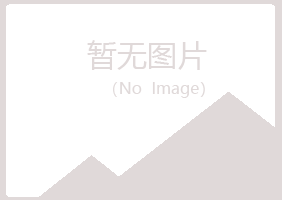 鹤岗兴山水云化学有限公司